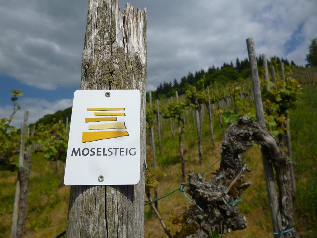 Hotel "Zur Moselterrasse" Palzem Eksteriør bilde