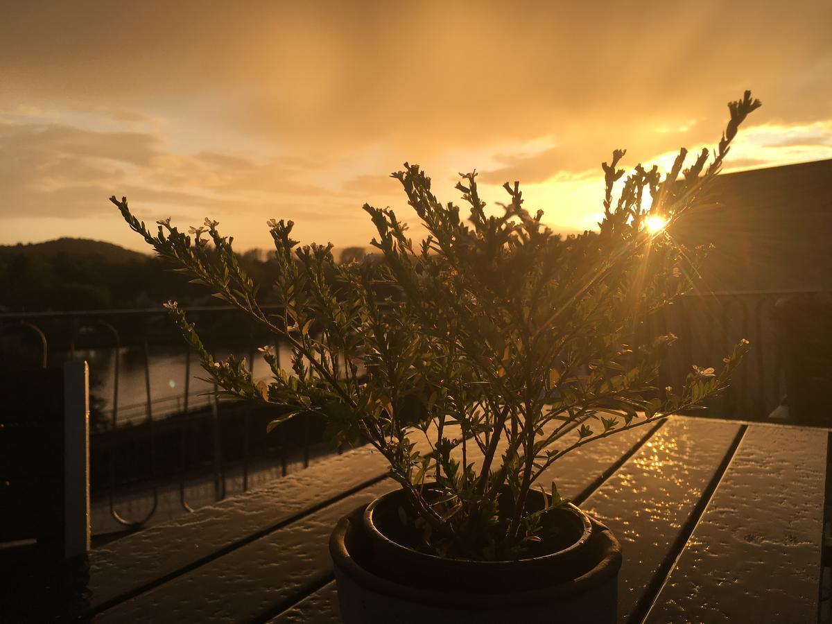 Hotel "Zur Moselterrasse" Palzem Eksteriør bilde